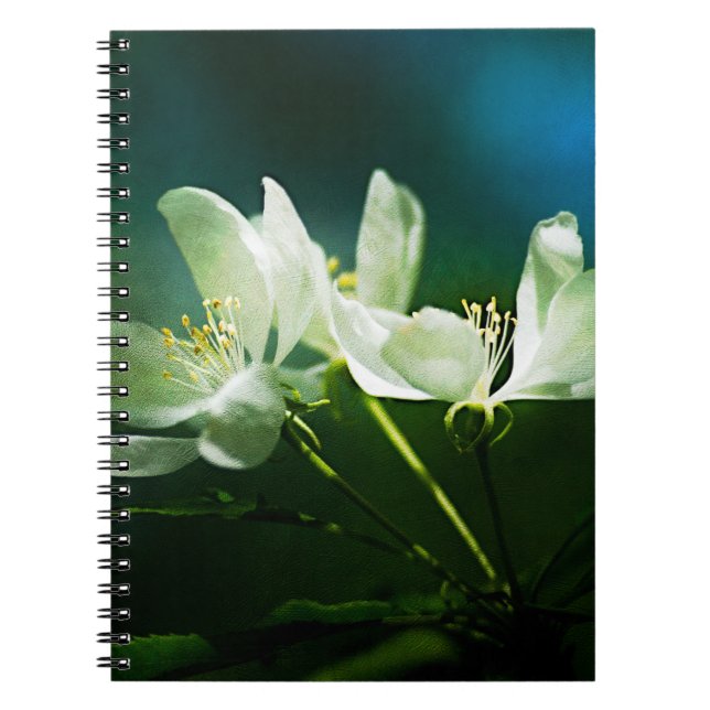 Carnet Apple Blossom - Deux Fleurs (Devant)