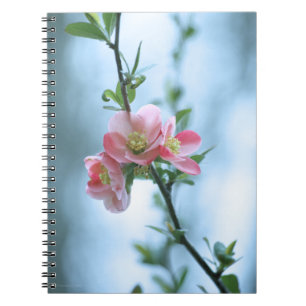 Carnet Apple Blossom #P0365