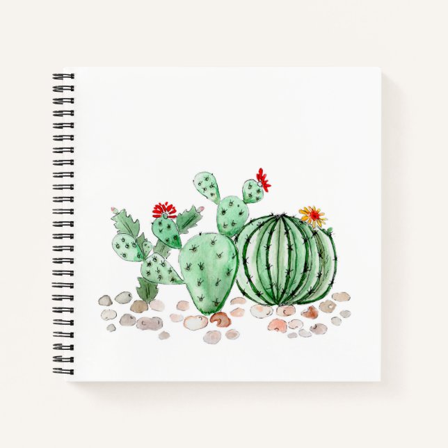 Carnet aquarelle, cactus (Devant)