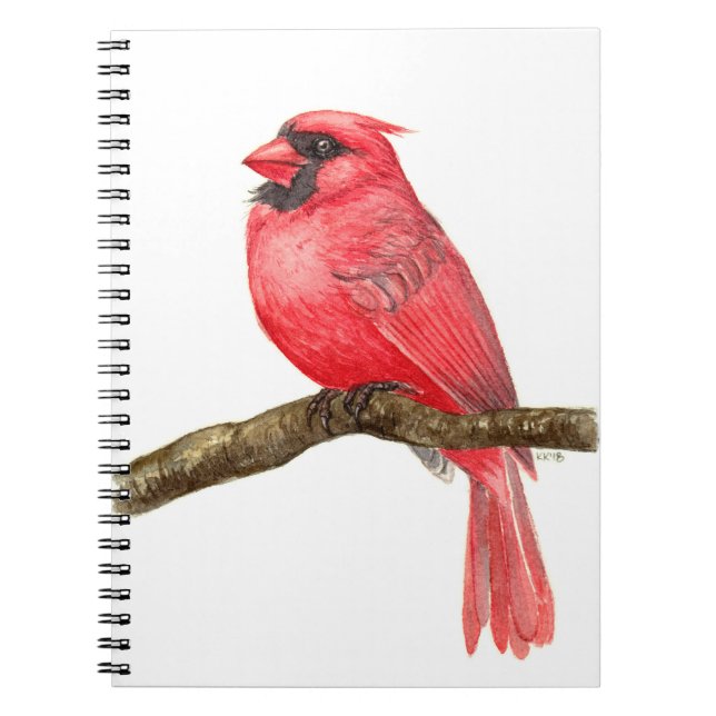 Carnet Aquarelle cardinale (Devant)