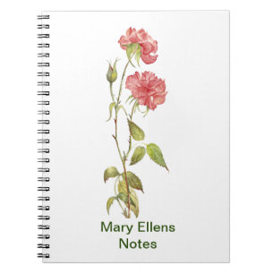 Carnet aquarelle carnation rose