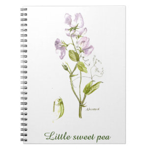 Carnet aquarelle de fleur de pois doux et vert
