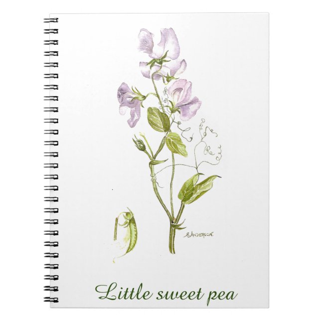 Carnet aquarelle de fleur de pois doux et vert (Devant)