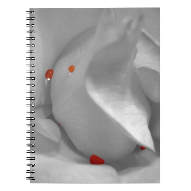 Carnet Aquarelle Éolienne (Devant)