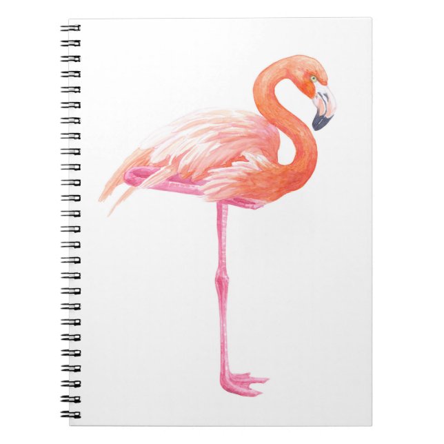 Carnet aquarelle Flamant rose (Devant)