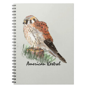 Carnet Aquarelle Kestrel Falcon Oiseau Nature Art