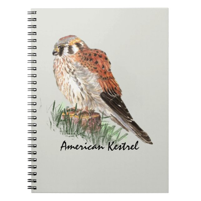 Carnet Aquarelle Kestrel Falcon Oiseau Nature Art (Devant)
