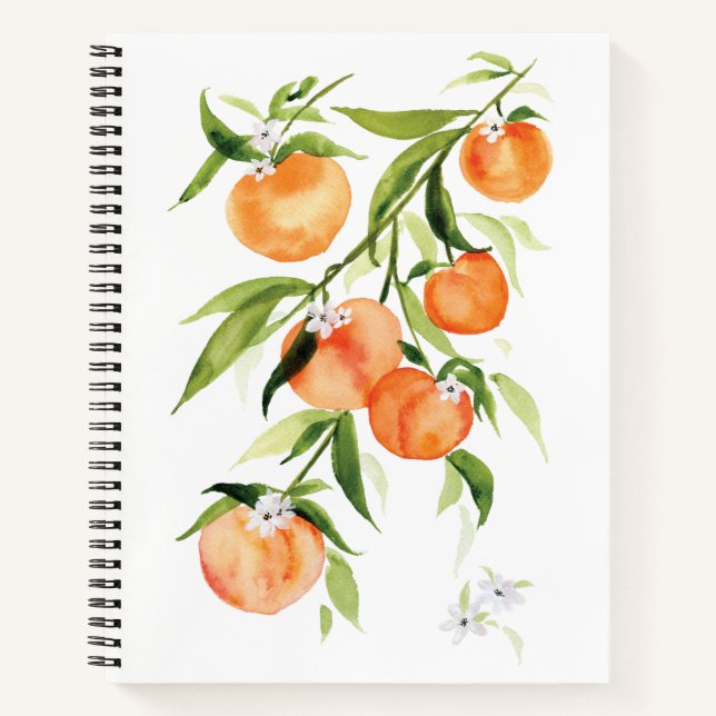 Carnet Aquarelle pêche fruit d'été grande (Devant)