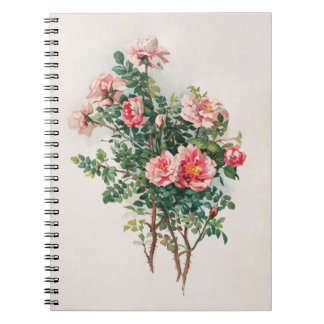 Carnet Aquarelle Roses roses