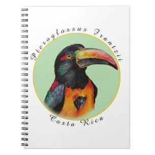 Carnet Aquarelle toucan