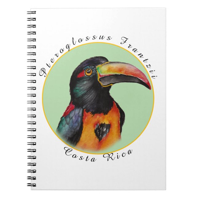 Carnet Aquarelle toucan (Devant)