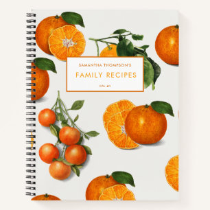 Carnet Aquarelle Vintage Citrus orange Recette