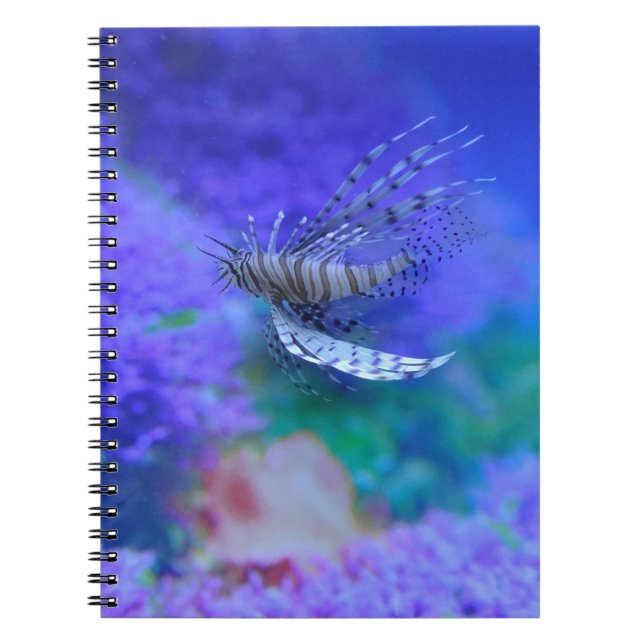 Carnet Aquarium Poisson poisson violet Pterois Zebrafish (Devant)