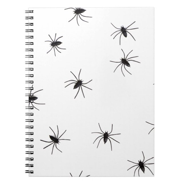Carnet araignées (Devant)