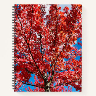 Carnet Arbre à feuilles rouges à l'automne