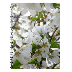 Carnet Arbre à fleurs blanches