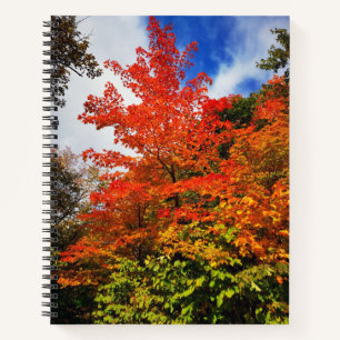 Carnet Arbre d'automne