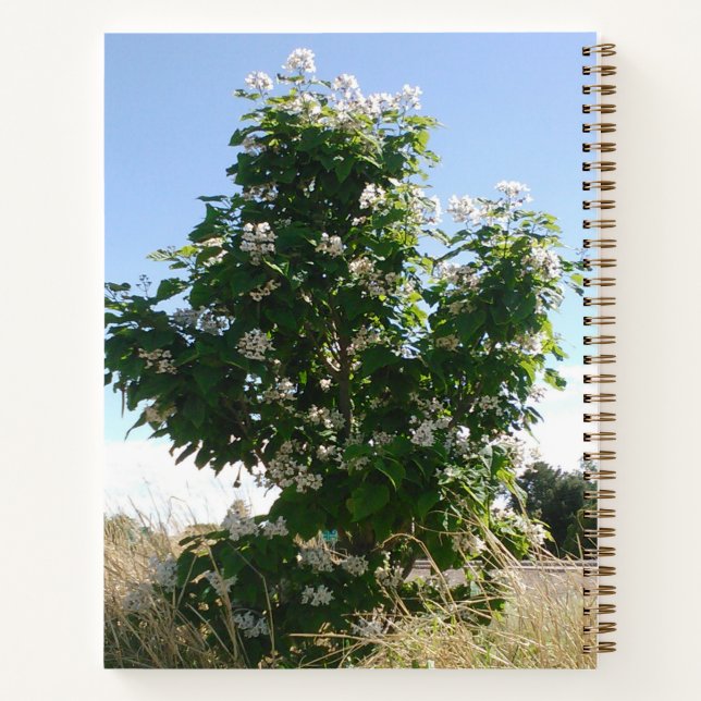 Carnet Arbre de Catalpa en fleurs (Dos)