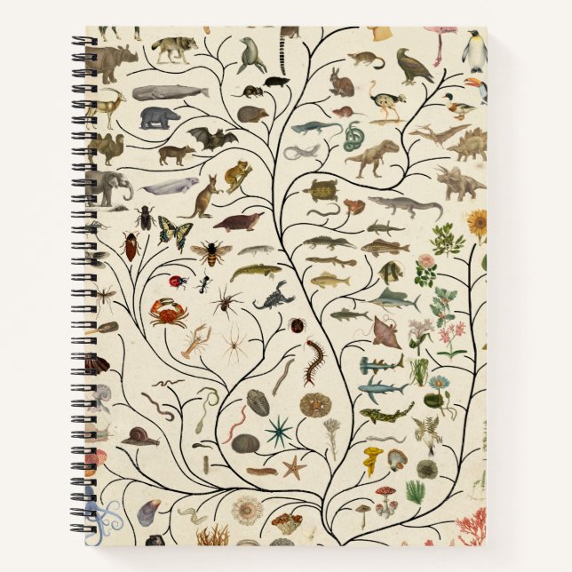 Carnet Arbre de vie (Devant)