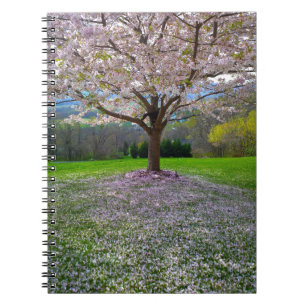 Carnet Arbre fleuri rose cerisier avec bois