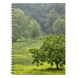 Carnet Arbre isolé dans un champ agricole, Toscane, 2