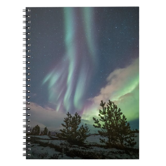 Carnet Arbres aurifères du Nord (Devant)