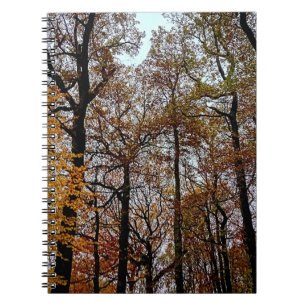 Carnet arbres Brown