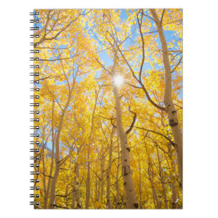Carnet Arbres d'Aspen Sierra Nevada Mountains, CA