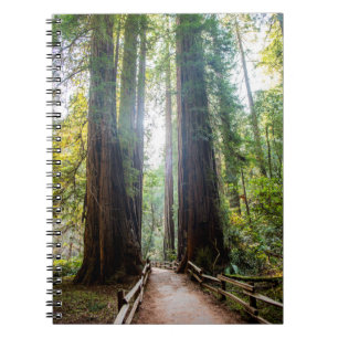 Carnet Arbres grands