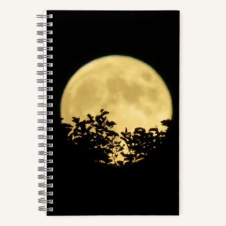 Carnet Arbres rétroéclairés par la pleine lune