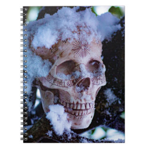 Carnet Arcane Hiver I