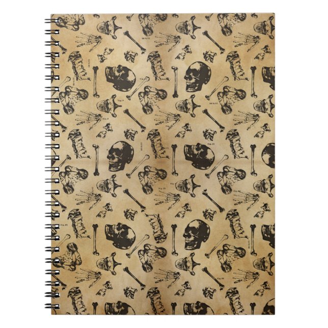 Carnet Archéologie de l'anatomie osseuse (Devant)