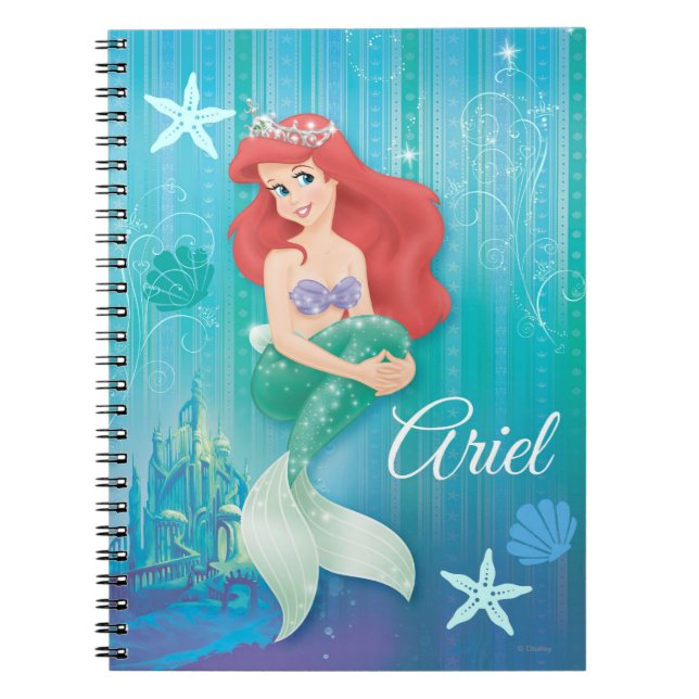 Carnet Ariel et le château (Devant)