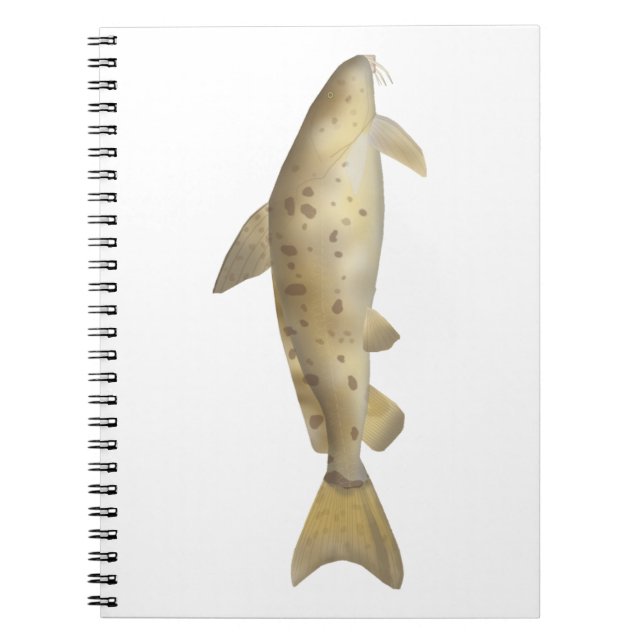 Carnet Armado (Devant)