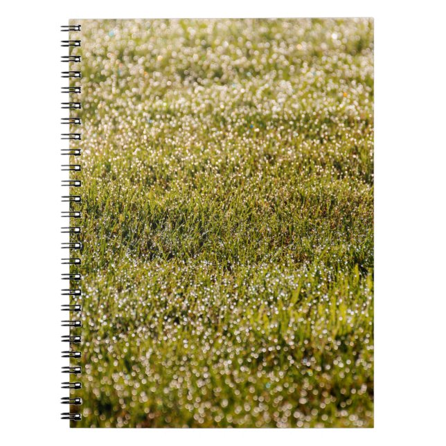 Carnet Arrière - plan d'herbe fraîche vert printemps, ave (Devant)