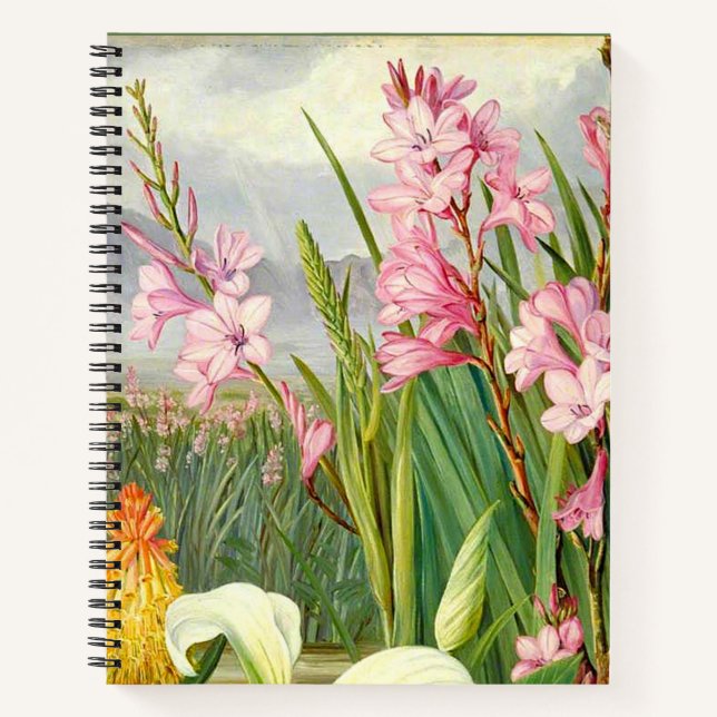 Carnet Art botanique : Beautés du marais (Devant)