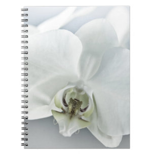 Carnet Art botanique de l'orchidée blanche élégante
