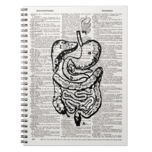 Carnet Art du dictionnaire d'illustrations Médicale