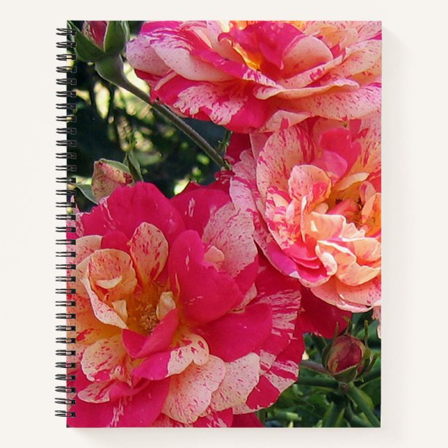 Carnet Art Floral Rose rayé rose et blanc (Devant)