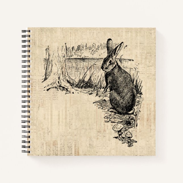 Carnet Art lapin vintage illustré (Devant)