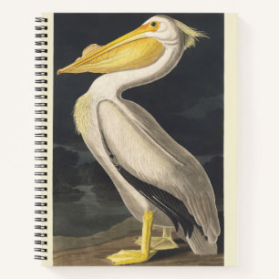 Carnet Art vintage d'Audubon représentant le Pélican blan