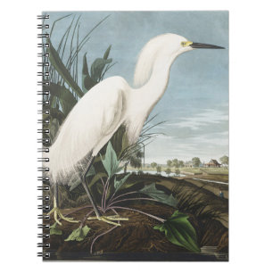 Carnet Art Vintage d'Audubon sur l'Aigrette neigeuse, Hér
