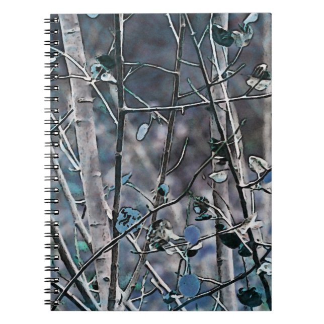 Carnet Aspen bleu (Devant)