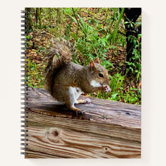 Carnet Attaque de Gourmandise