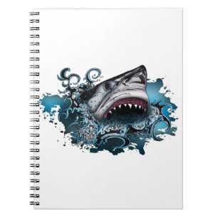 Carnet Attaque de requins