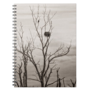 Carnet Attente de la vie