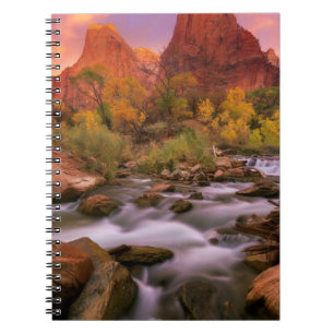 Carnet Aube grande