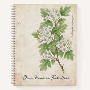 Carnet Aubépine commune vintage (Crataegus monogyna)