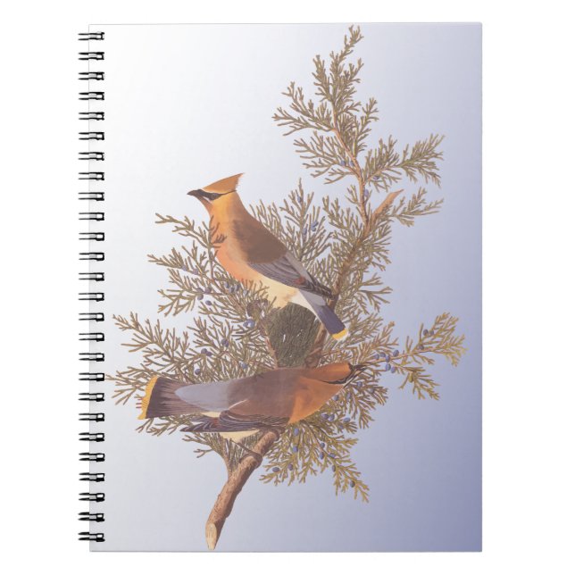 Carnet Audubon Cedar Waxwing Bird on Evergreen Juniper (Devant)