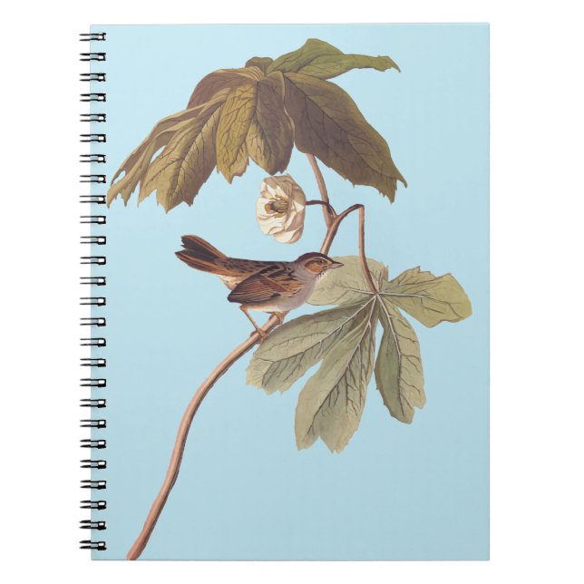 Carnet Audubon Oiseau de Bruant sur Mandrake sauvage (Devant)